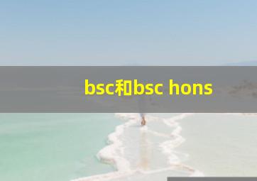 bsc和bsc hons